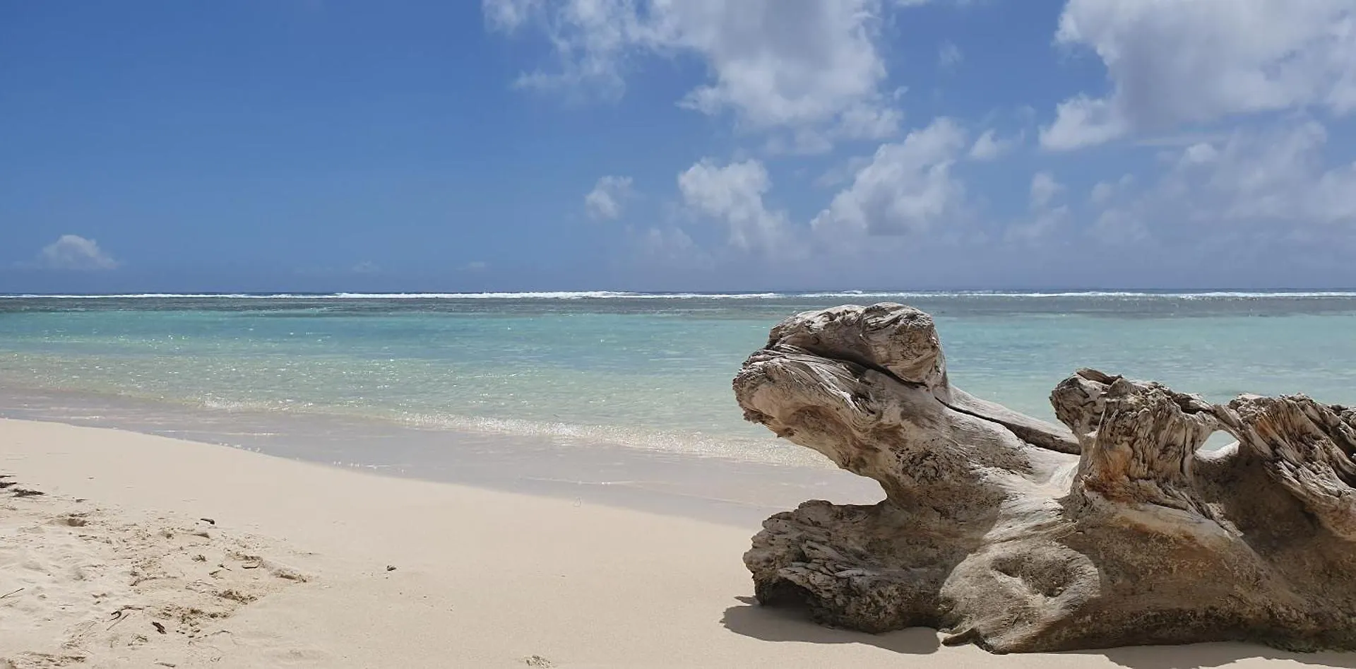 Ti' Cocon Des Iles Apartment Le Moule