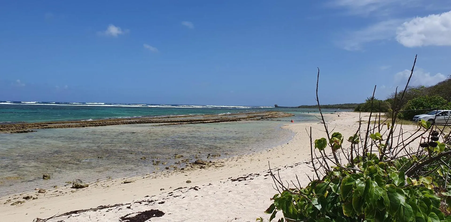 Ti' Cocon Des Iles Apartment Le Moule